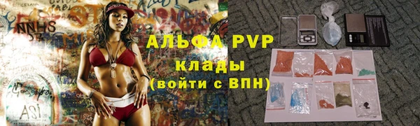 прущие грибы Белоозёрский